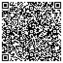 QR code with Cobra Auto Sales Inc contacts