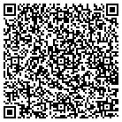 QR code with Practical Software contacts
