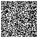 QR code with Carpet WHIZ Service contacts