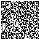 QR code with Publica Group LLC contacts