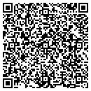 QR code with Bgr Investments LLC contacts