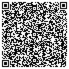 QR code with Spring Creek Auto Sales contacts