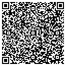 QR code with Cyger Technologies Inc contacts