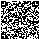 QR code with Pumpkin Software Corp contacts