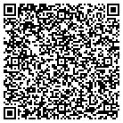 QR code with Punkrockmusic.com Inc contacts