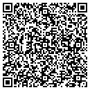 QR code with Courier Systems Inc contacts