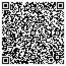 QR code with Brian's Tree Service contacts