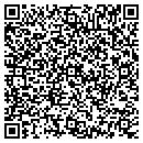QR code with Precision Tree Removal contacts