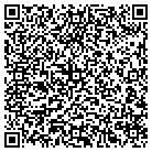 QR code with Blue View Ltd Liability Co contacts