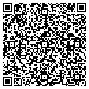 QR code with Chenango Amusements contacts