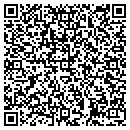 QR code with Pure Tek contacts