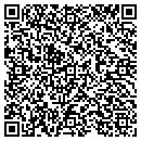 QR code with Cgi Consulting Group contacts