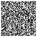 QR code with Precise Improvements contacts