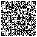 QR code with Tidyup contacts