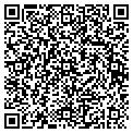 QR code with Lasersoft LLC contacts