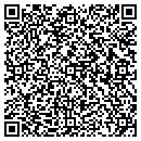 QR code with Dsi Appraisal Service contacts