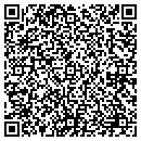 QR code with Precision Palms contacts