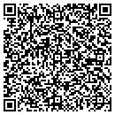 QR code with Public Works Software contacts