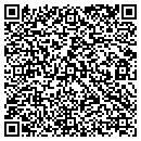QR code with Carlisle Construction contacts