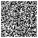 QR code with Chesapeake Software contacts