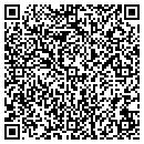 QR code with Brian St Onge contacts