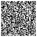 QR code with Precision Auto Sales contacts