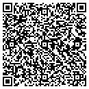 QR code with Blue Terrain Software contacts