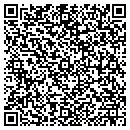 QR code with Pylot Builders contacts