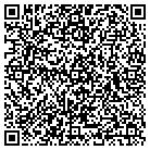 QR code with BLUE HIPPO PEDAL BOATS contacts