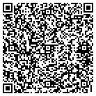QR code with Public Tree Service contacts