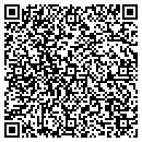 QR code with Pro Fantasy Software contacts