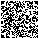 QR code with Cairo Village Market contacts