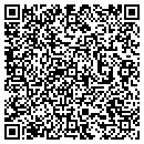 QR code with Preferred Auto Sales contacts