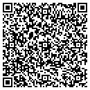 QR code with Pts Tree Care contacts