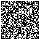 QR code with Pure Evil Sand Cars contacts