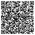 QR code with Tewnty contacts