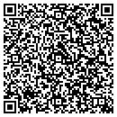 QR code with Premier Insulation LLC contacts