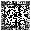 QR code with Moldex contacts