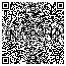 QR code with Pro Insulators contacts