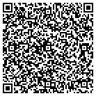 QR code with Blue Sky Classic Cars LLC contacts