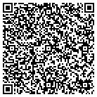 QR code with Pullan Communications contacts