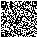 QR code with Import Express contacts