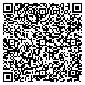 QR code with N Style contacts