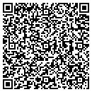 QR code with Pure Chilean contacts
