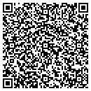 QR code with Premier Insulation contacts