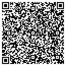 QR code with Progressive Insulation contacts