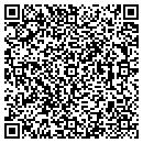 QR code with Cyclone Tree contacts