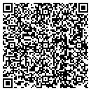 QR code with Bluepoint Auto Sales contacts