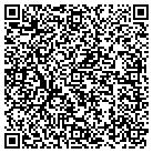 QR code with Blk Ice Enterprises Inc contacts