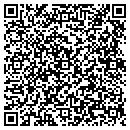 QR code with Premier Insulation contacts
